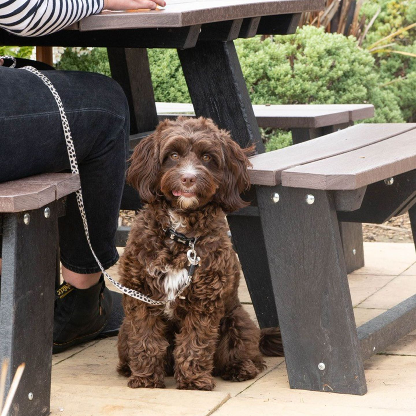 Your local dog friendly pub in Top Valley Bulwell